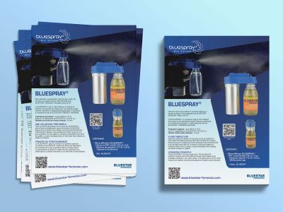 Flyer Bluespray