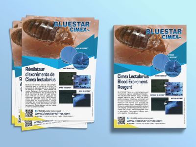 Flyer Bluestar Cimex